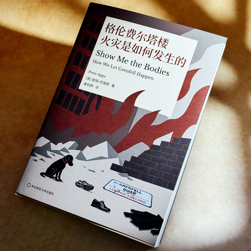 How the Grenfell Tower fire happened The Mint Experiment