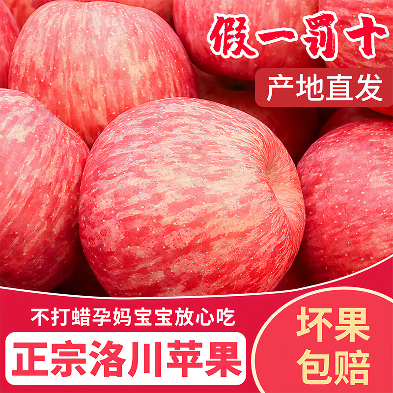 Luochuan Apple, Shaanxi Yan'an Luochuan Red Fuji Apple, 25-year new fruit, seasonal apple fruit gift box, direct delivery from the origin, selected extra large fruits, net weight 8.5 catties (single fruit 250+), about 15-18 pieces