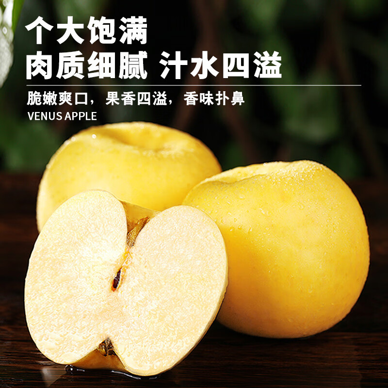 Uncle Sam Venus Apples, next-day delivery to multiple places, golden apples, crispy and sweet, fresh new year gift box, fruit gift box, sweetness upgrade, 7A special fruit | single fruit 70-75mm, 5kg package, 80% selection - great value recommendation, 4kg net*