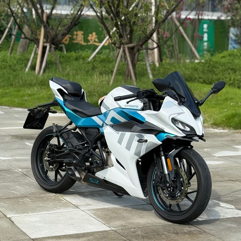 Second-hand Dongfeng 250SR motorcycle imitation racing high-end track version factory team limited motorcycle single swing arm MY22-25 white high-end version