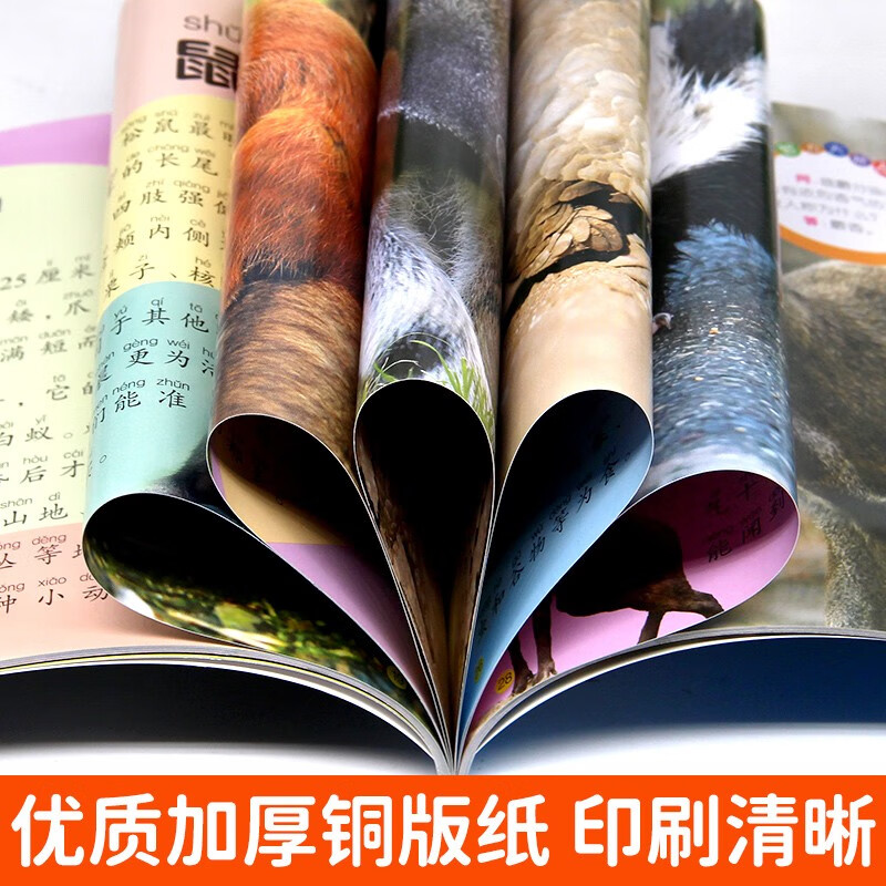 Complete 4-volume children's animal encyclopedia, large picture and large character encyclopedia, 3-6 years old encyclopedia picture book, animals are really interesting, animals are strange, animals are so cute, primary school students' animal secrets