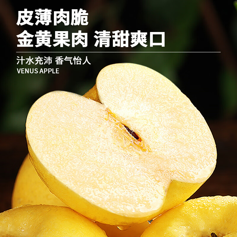 Uncle Sam Venus Apples, next-day delivery to multiple places, golden apples, crispy and sweet, fresh new year gift box, fruit gift box, sweetness upgrade, 7A special fruit | single fruit 70-75mm, 5kg package, 80% selection - great value recommendation, 4kg net*