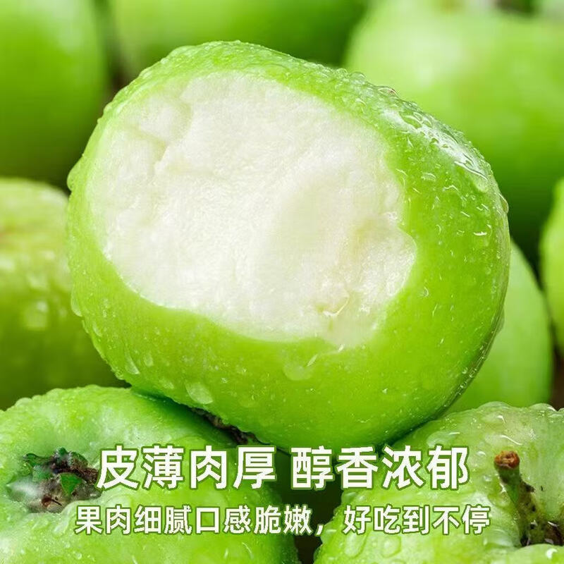 Shandong fresh green apple fruit whole box jin seasonal green apple free shipping seasonal sour and crispy Ugly Pingping fruit for pregnant women 5 jin in box (60-70mm)