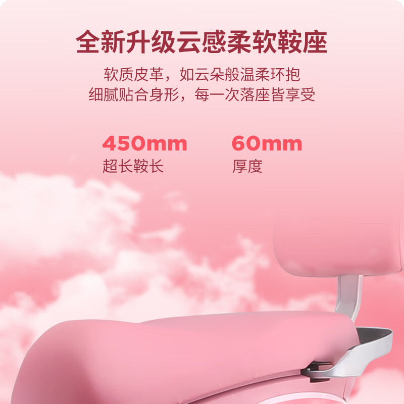 LGK Phoenix Luna electric motorcycle, adult lithium battery, new national standard, ultra-long endurance female commuter electric motorcycle, customized naked model - (need to provide your own battery + charger) - no gifts