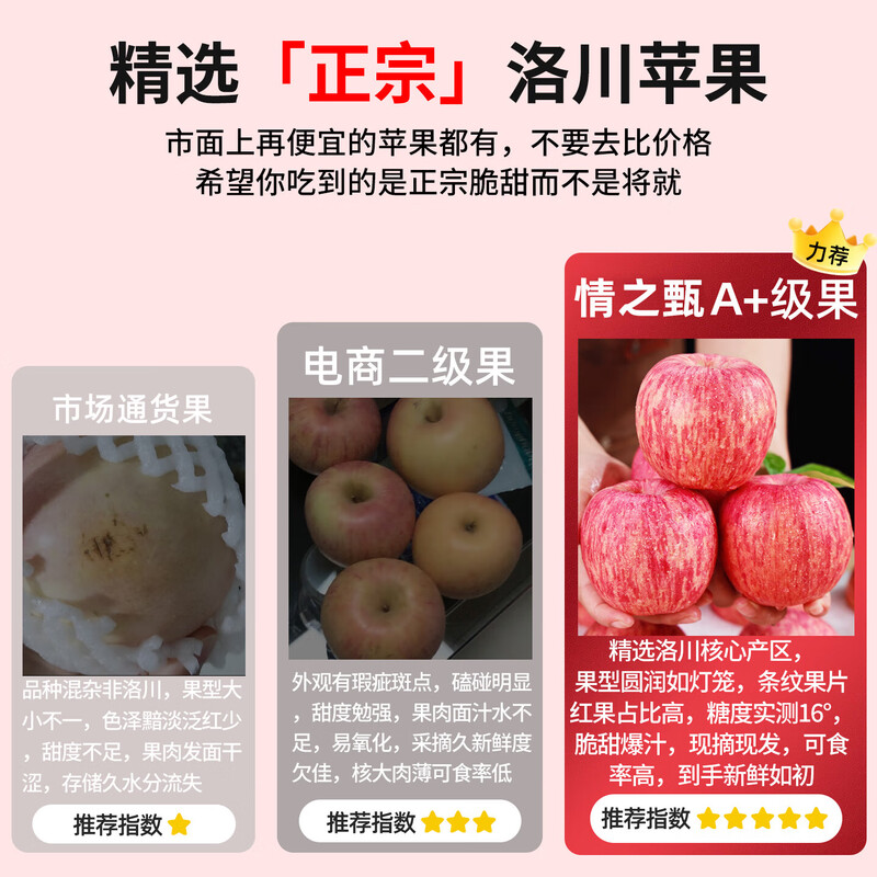 Authentic Shaanxi Luochuan apples, red Fuji, fresh seasonal rock candy, crispy and sweet, whole box of fresh fruits for pregnant women, about 5 kilograms in box, single fruit 75mm+