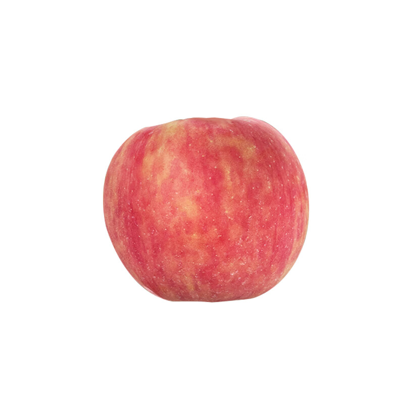 Jiaogui Shaanxi Baishui Ruixue Apple SF - Door-to-Door Delivery Fuji Apple Fruit Gift Box 24 Pieces 80mm Selected Fruit (Variety Fuji) SF Direct Shipping from Origin