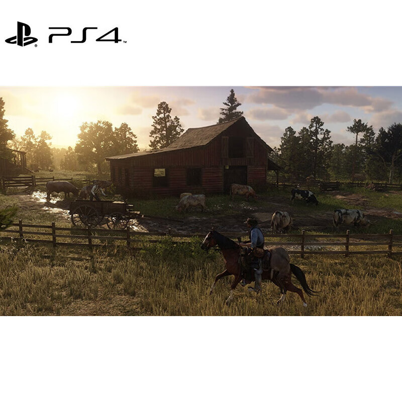 PlayStationPS4/PS5 new game disc game software Red Dead Redemption 2 Chinese