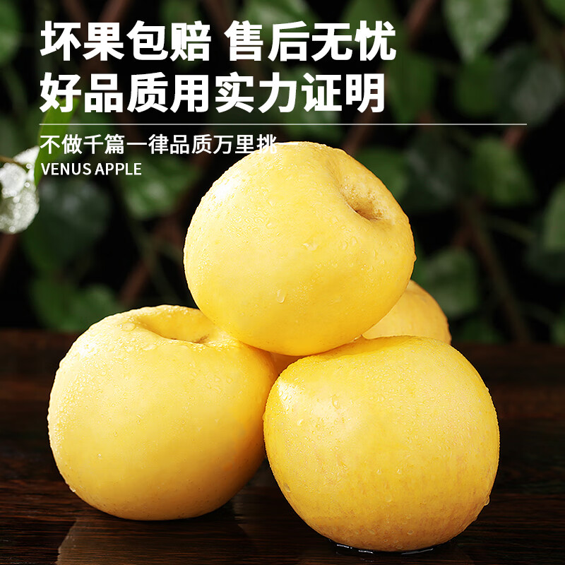 Uncle Sam Venus Apples, next-day delivery to multiple places, golden apples, crispy and sweet, fresh new year gift box, fruit gift box, sweetness upgrade, 7A special fruit | single fruit 70-75mm, 5kg package, 80% selection - great value recommendation, 4kg net*