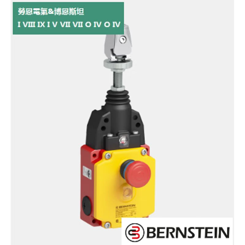 BERNSTEIN Rope switch 6012929085 SRM-U1Z/U1Z-QF-175