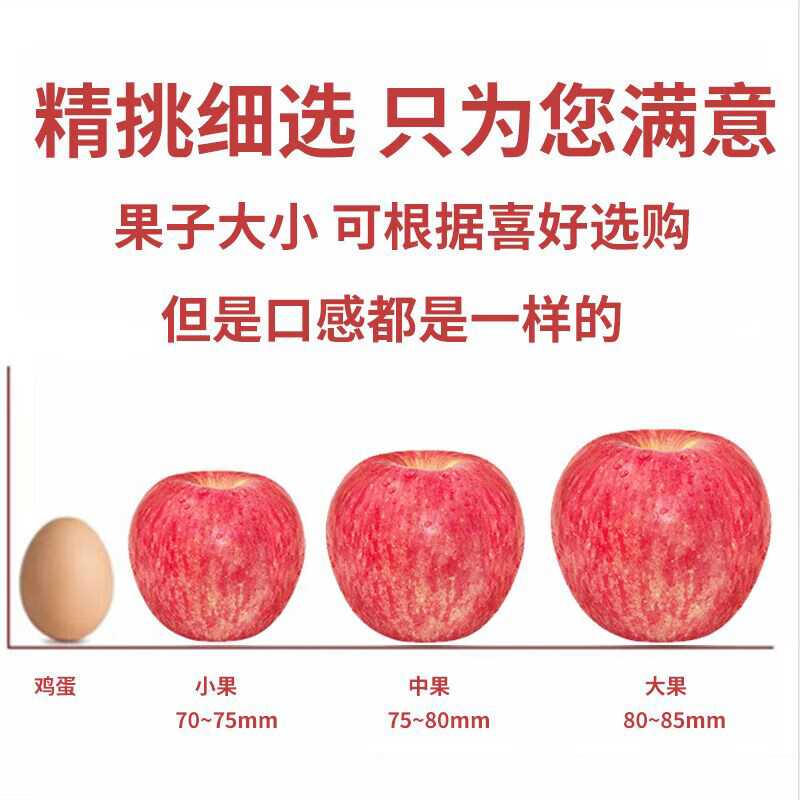 Luochuan Apple, Shaanxi Yan'an specialty Red Fuji seasonal apple fruit gift box, fresh apples, fresh, crispy and sweet, whole box wholesale, net weight 8.5 catties, 70-75mm color box, hot sale