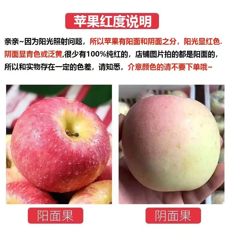 Happy Season Authentic Red Fuji Apple Fresh Fruit Crisp Sweet Chou Apple Fruit Shanxi Freshly Picked Whole Box Flat Fruit Rock Candy Heart Free Shipping 5 Jin in Box (Net Weight 4.5 Jin) Single Fruit 80mm+ Popular Big Fruit