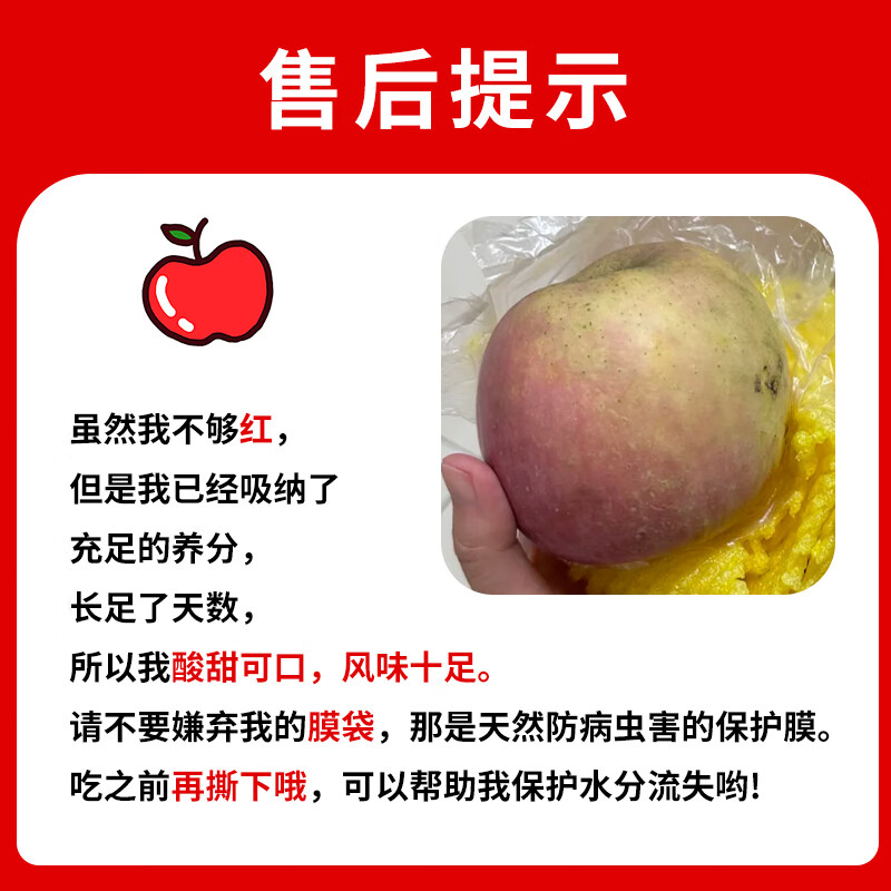 Jingxiansheng Shanxi Plateau Red Fuji Apple 4.5kg, single fruit 90mm+, crispy and sweet mountain ugly apple, straight from the source