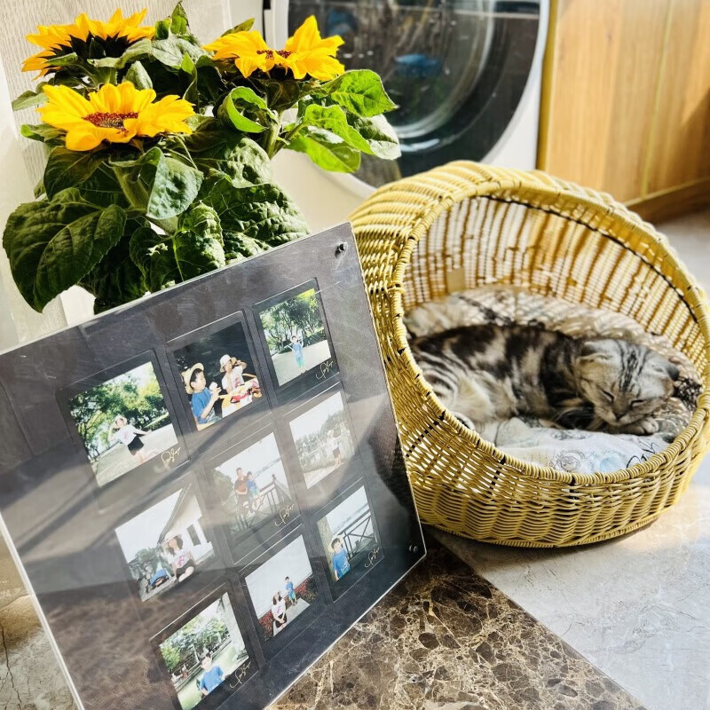 Fuji (FUJIFILM) instax Polaroid three-inch photo paper/color edge suitable for mini9/11/12/evo/wide five-inch photo paper New Year's gift Annual meeting prize Valentine's Day gift box SQ photo paper 10 pieces