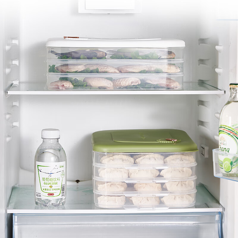 Longstar frozen dumpling box for home use, two layers and one cover, special wonton and dumpling preservation box tray for refrigerator, food grade