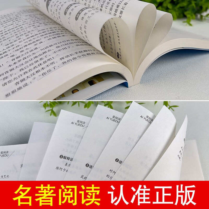 Read the second volume for sixth grade (4 volumes with test points) Robinson Crusoe, The Adventures of Tom Sawyer, Alice in Wonderland, and Niels' Travels on the Goose.