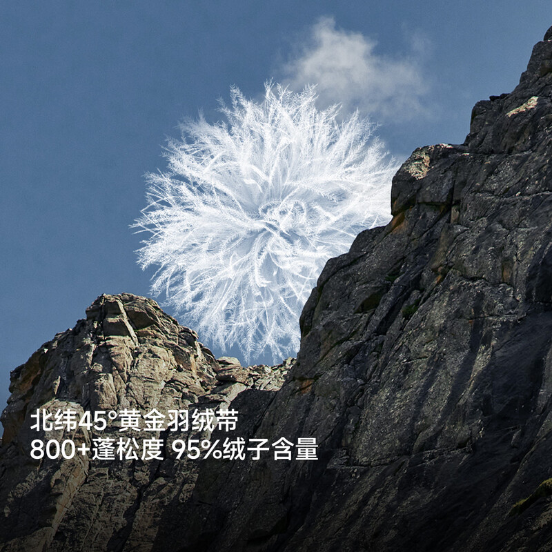 Himalayan Jade Dragon Goose Down Jacket 800 Pile 95 Puff - 20 C Snow Mountain Climbing Professional Outdoor Cold Resistant Windproof High Pile Down Jacket