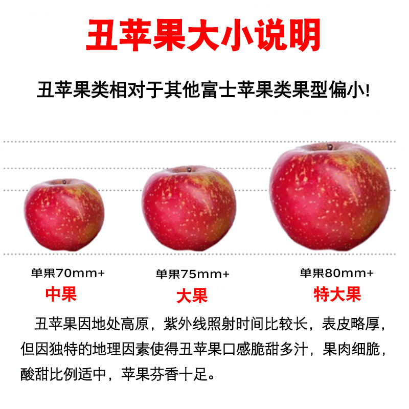 Jingmi Sichuan Daliangshan Ugly Apple, 8 pounds net, single fruit 80mm+, fresh fruit rock candy heart apple, straight from the source