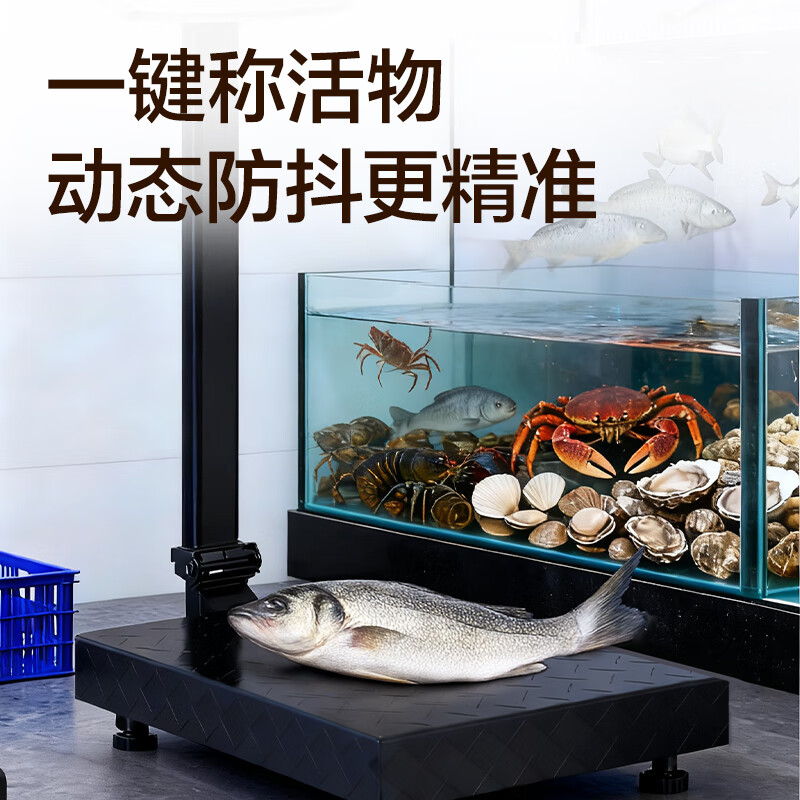 Deli rechargeable platform scale electronic scale commercial high-precision floor-standing vegetable selling electronic scale cargo scale pricing large industrial counting express scale TE923