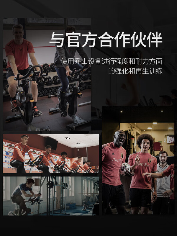 Qiaoshan Matrix high-end professional exercise bike U30 sports fitness equipment indoor sports training exercise bike U30XR 8.5-inch LCD digital display