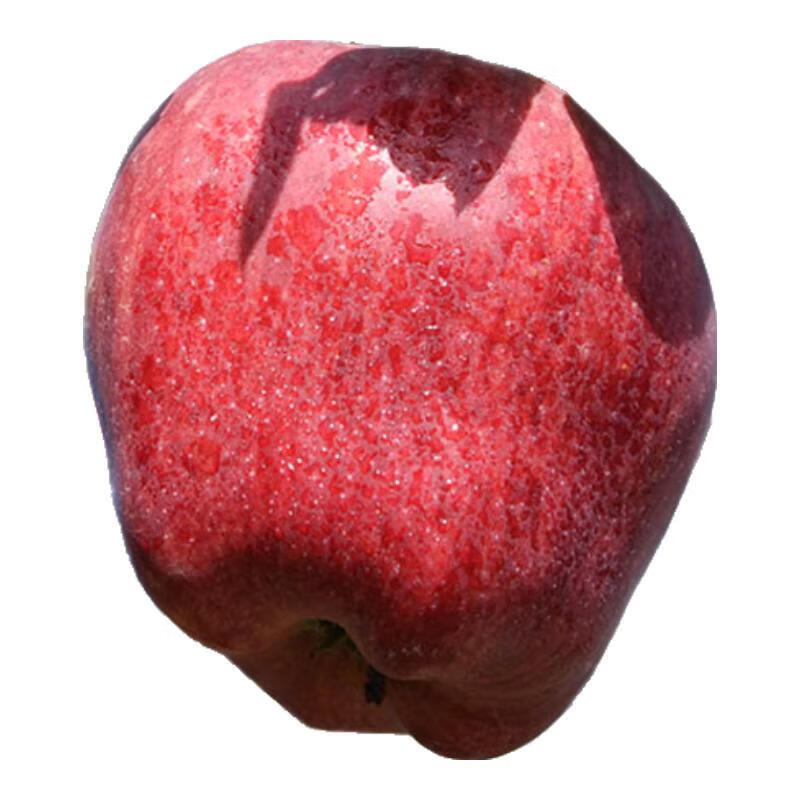 Origin: Gansu Tianshui Huaniu Apple, seasonal fresh fruit, sweet apple powder, 12 pieces in a selected gift box