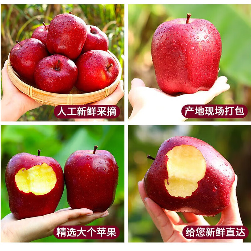 Gansu Tianshui Huaniu Apple Whole Box Seasonal Fresh Red Snake Fruit Powder Noodles Baby Food Complementary Fresh A6 Box 2 catties Fruit Diameter 75mm or More