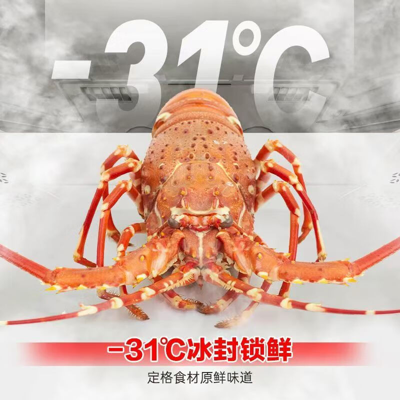 Ronshen grade machine | Ronshen 507L French flat-embedded zero-embedded dual-system dual-cycle IDP active sterilization and purification refrigerator BCD-507E30FZLAD with slight appearance flaws