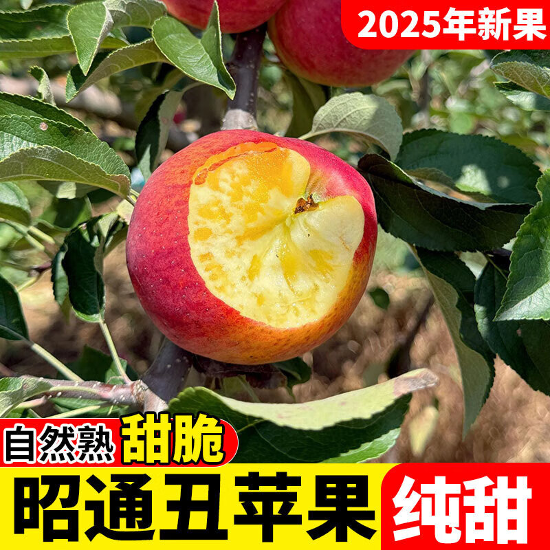 2025 Authentic Yunnan Zhaotong Rock Candy Heart-Chou Apple Fresh Fruit Apple Seasonal Crisp Sweet Fruit Straight from Origin 5 Jin Pack Extra Large Fruit (90-100)