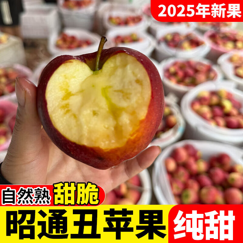 2025 Authentic Yunnan Zhaotong Rock Candy Heart-Chou Apple Fresh Fruit Apple Seasonal Crisp Sweet Fruit Straight from Origin 5 Jin Pack Extra Large Fruit (90-100)