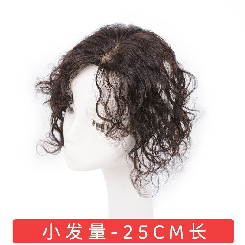 Tangni's top-of-the-head replacement wig for small curly hair, medium-parted wig for women to cover white hair and increase hair volume, fluffy wool curly replacement wig, nano ice mesh 11*13, brown and black 25cm