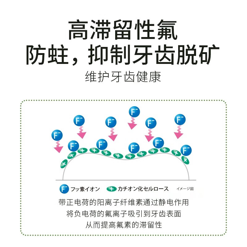 Lion imported high fluoride anti-cavity toothpaste enamel anti-demineralization orthodontic special citrus mint flavor anti-black line 135g