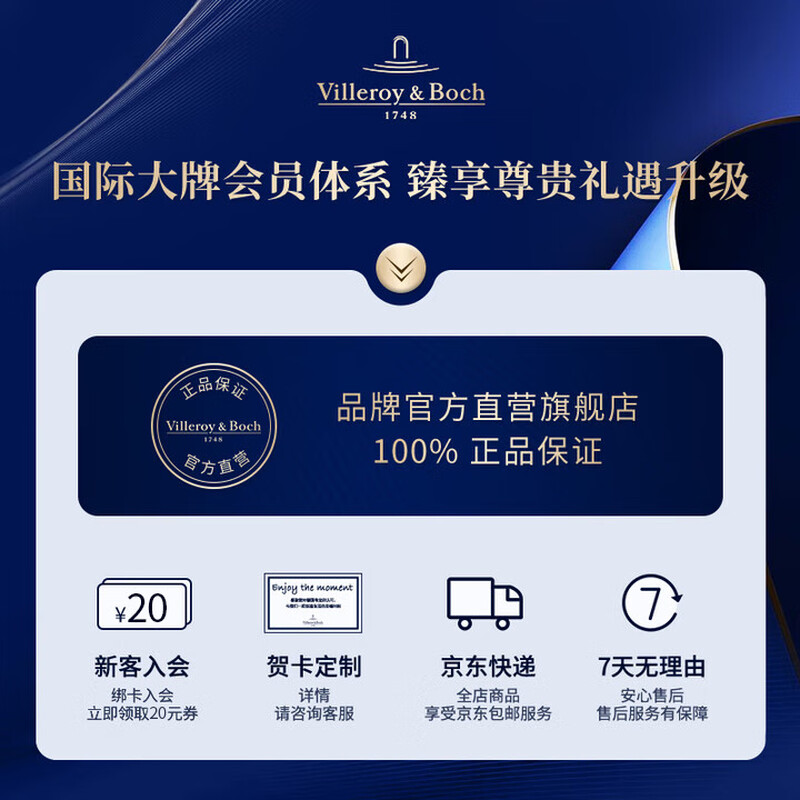 Villeroy&Boch National Collection Classic Luxembourg Series Imported Fine Porcelain Bowls and Plates Glazed Multi-person Dining Tableware for 4 People 11 Heads