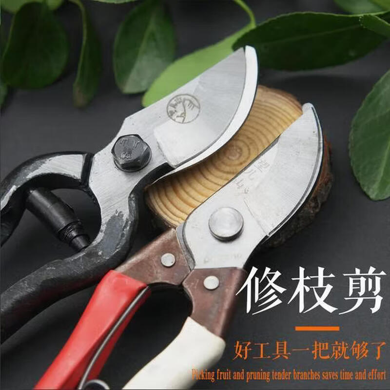 Vinoa Wangershan pruning shears, fruit tree scissors, pruning shears, gardening scissors, labor-saving scissors, thick branch shears, pruning shears, Wangershan affordable branch shears.