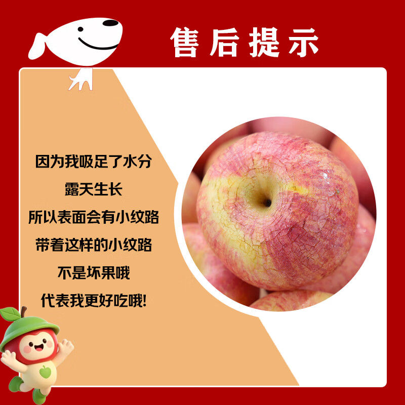 Jingmi Shaanxi Red Fuji Ugly Apple, net weight 4.5kg, single fruit 220g+, fresh fruit, straight from the source