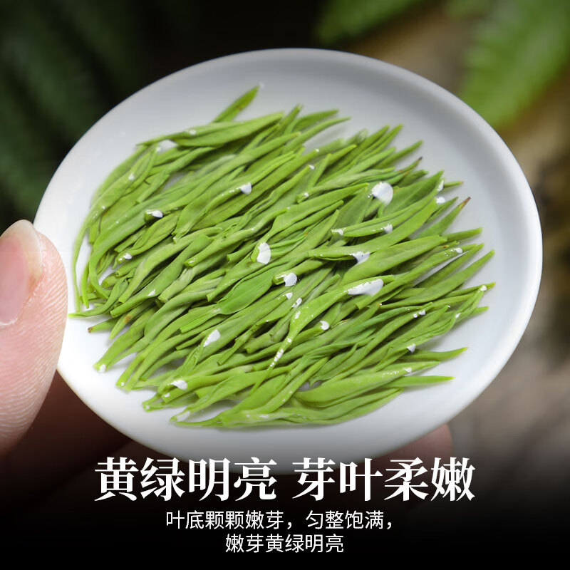 Zuijunhuai Tea 2025 new tea Mingqian bud special grade strong fragrance Maojian green tea for self-drinking 250g bag for self-drinking