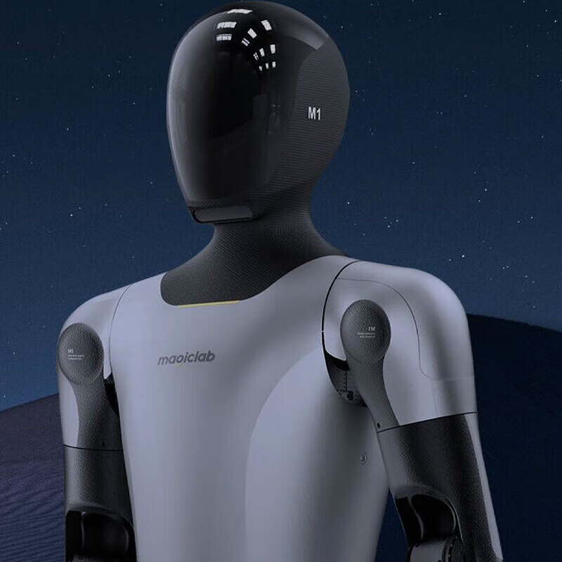 Miss Dolphin AI Intelligent Elderly Care Accompanying Nanny Moving Shopping Guide University Experimental Scientific Research Magic Atomic Universal Humanoid Robot Store Shopping Mall Convention and Exhibition Center Interpretation Robot