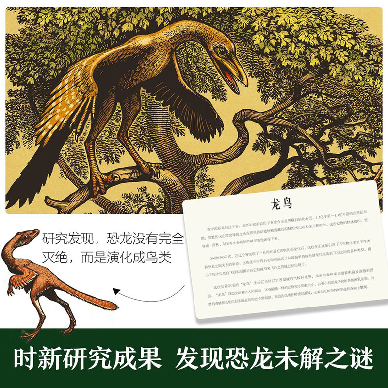 Miracle Museum Series Dinosaur Museum Fun 7-year-old + Children's Popular Science Encyclopedia Dinosaur Book Primary School Students Extracurricular Reading Book
