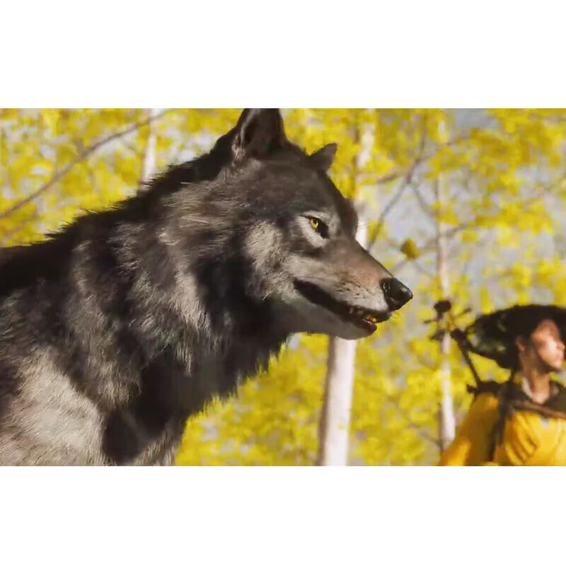 PlayStation PS5Slim new game PS5 new game disc Soul of Mount Yotei Chinese