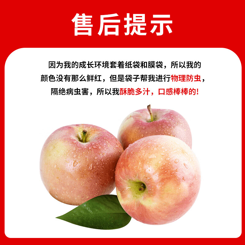 Jingxiansheng Shanxi Plateau Red Fuji Apple 4.5kg, single fruit 90mm+, crispy and sweet mountain ugly apple, straight from the source