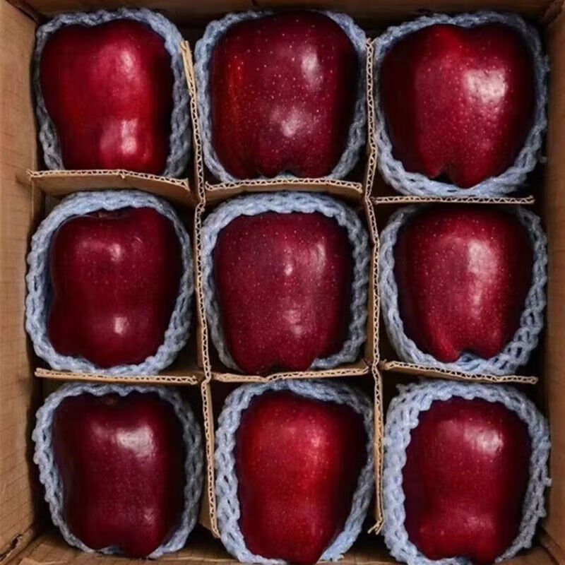 Origin: Gansu Tianshui Huaniu Apple, seasonal fresh fruit, sweet apple powder, 12 pieces in a selected gift box