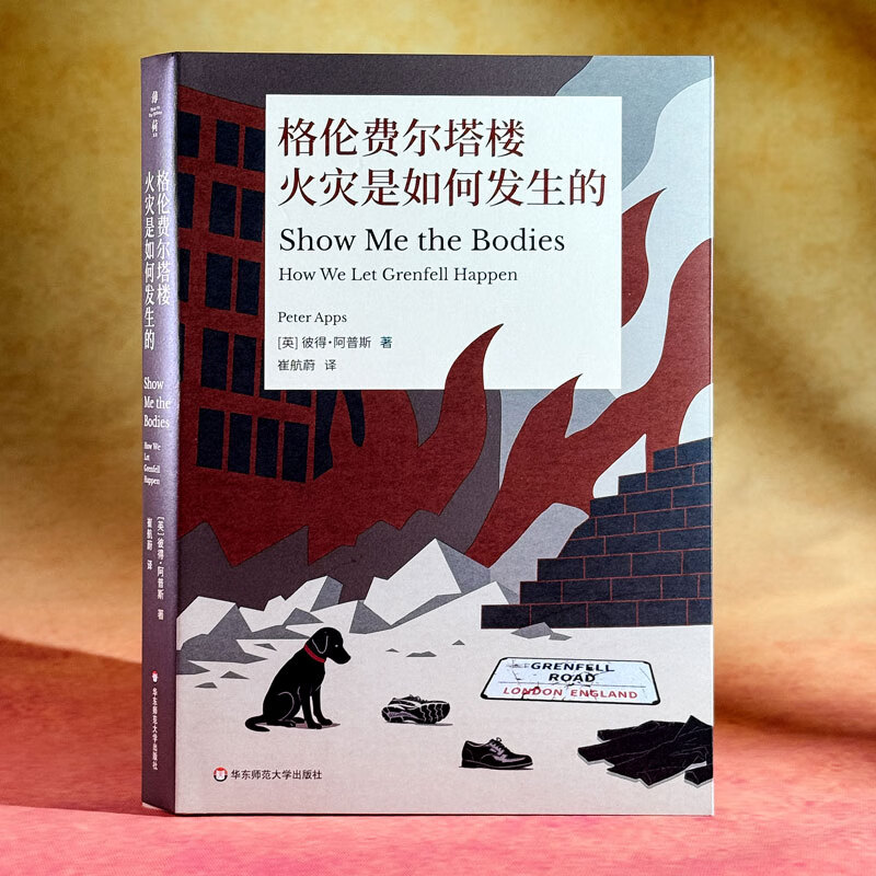 How the Grenfell Tower fire happened The Mint Experiment