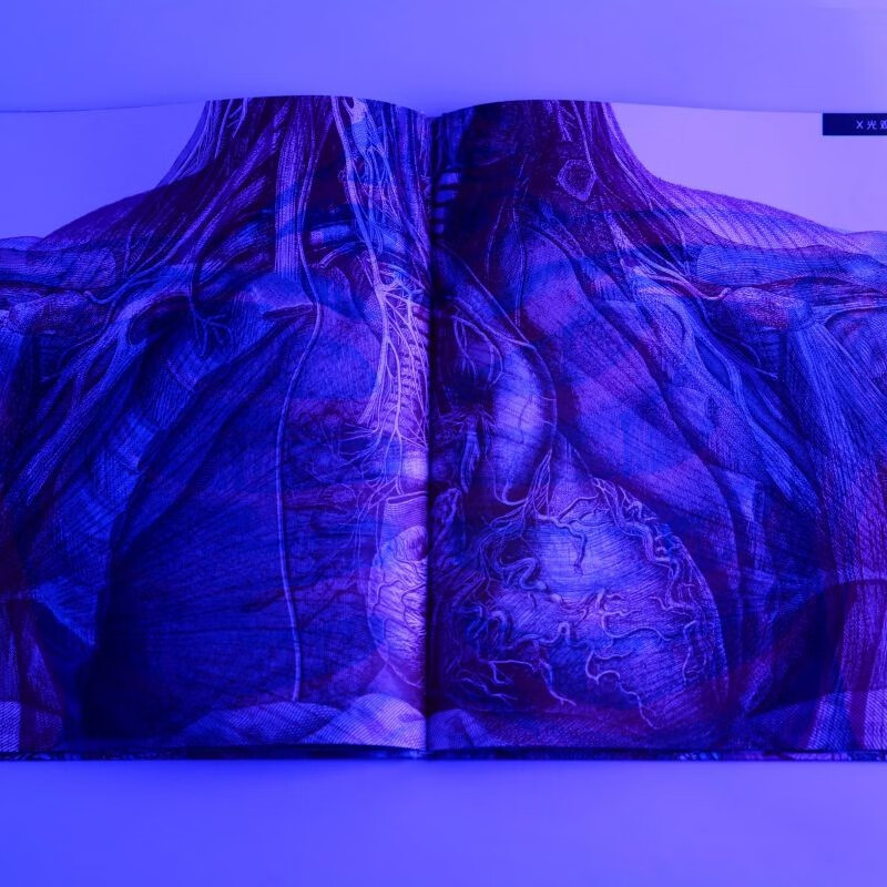 Exploring the Human Body, written by Kate Davis, 5-12 years old, three-color filter popular science book, 1 picture, 3 views, turns flat reading into three-dimensional reading, takes you to roam the wonderful human body