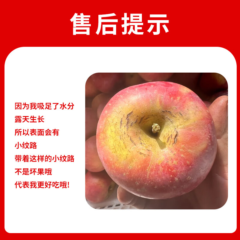Jingxiansheng Shanxi Plateau Red Fuji Apple 4.5kg, single fruit 90mm+, crispy and sweet mountain ugly apple, straight from the source