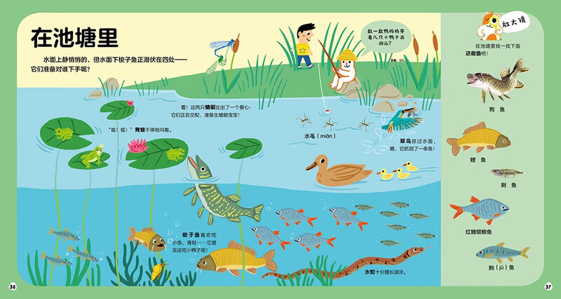 Children's Encyclopedia of Enlightenment Cognition: Secrets of Animals Hardcover Hardcover 0-3 Years Old Enlightenment Popular Science Book Children's Books Early Education Encyclopedia