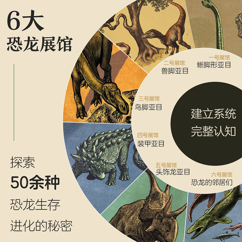 Miracle Museum Series Dinosaur Museum Fun 7-year-old + Children's Popular Science Encyclopedia Dinosaur Book Primary School Students Extracurricular Reading Book