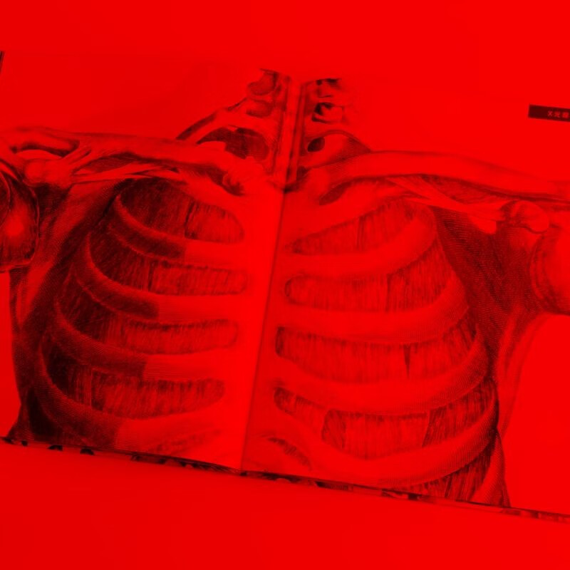 Exploring the Human Body, written by Kate Davis, 5-12 years old, three-color filter popular science book, 1 picture, 3 views, turns flat reading into three-dimensional reading, takes you to roam the wonderful human body