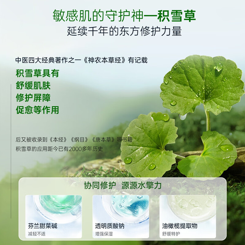 Feisini Centella asiatica anti-wrinkle moisturizing daily skin care hydrating oil control firming soothing mask green mask New Year's gift for girls