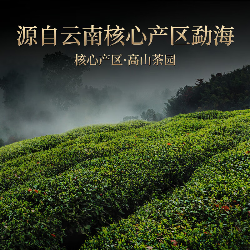 Oriental Master Tea Pu'er Tea Ten Years Waxy Fragrance Pu'er Ripe Tea Yunnan Menghai Palace Tea Self-Drink 250g Canned Ration Tea