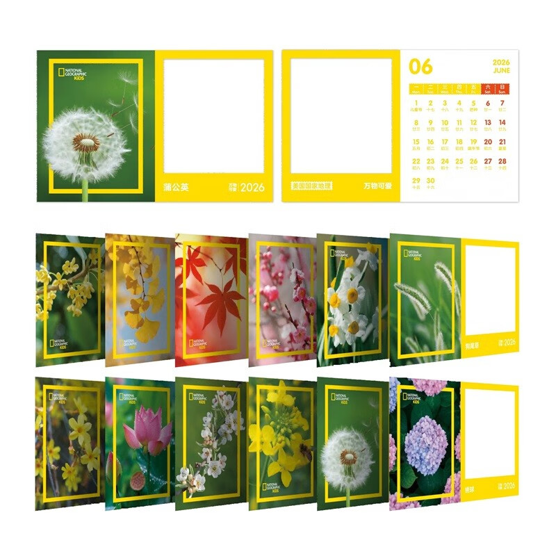 National Geographic Everything is Cute 2026 Calendar Everything is Cute Good Things Will Happen Creative Children’s Popular Science Calendar Spring Festival Gifts New Year Gifts