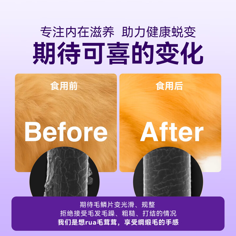 Weidangjia Cat Wet Food Staple Cat Strips 100*15g Barrel Fish Oil Explosive Pearls Beauty Cat Strips Kitten Cat Food Nutritional Exclusive