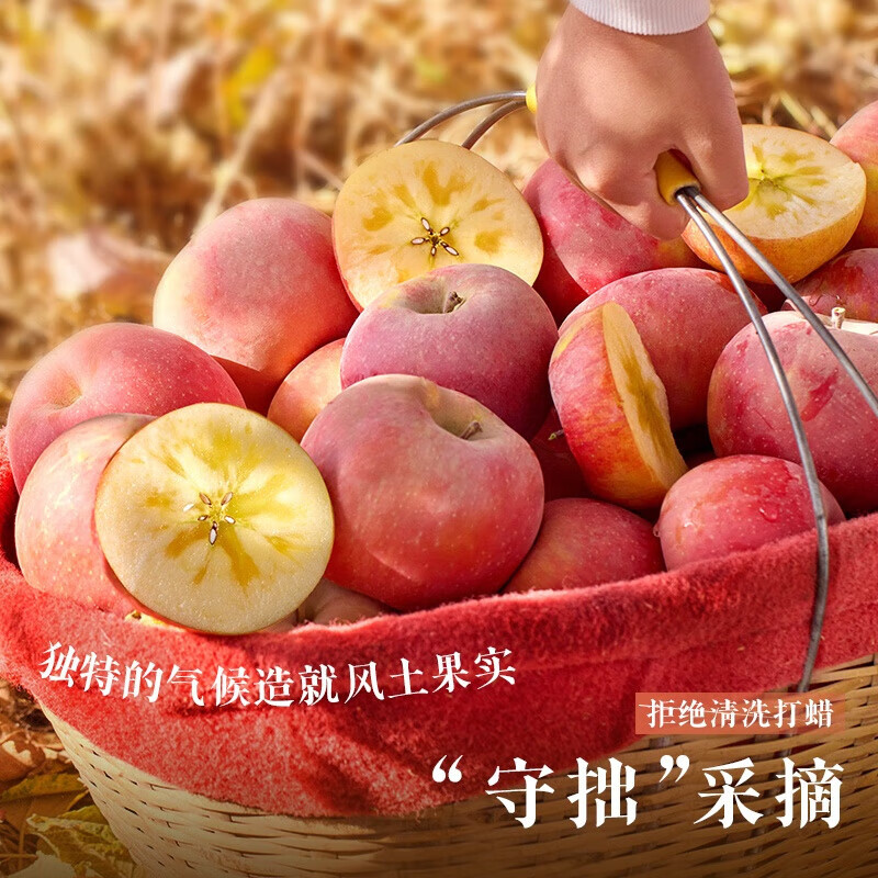 Dongdong Farm exclusively supplies authentic Xinjiang Aksu apples, seasonal fresh rock candy heart apples, Fuji apples, 9 catties in box, single fruit 65-70mm